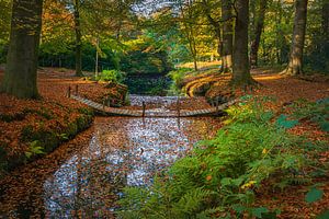 Herbst auf dem Landgut Braak