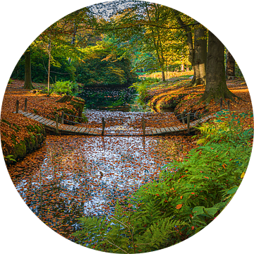 Herfst op Landgoed de Braak van Henk Meijer Photography