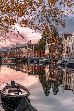 Leiden - Herfstige blik op de Oude Singel (0178) van Reezyard