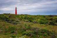 Schiermonnikoog van Ron Hoefs thumbnail