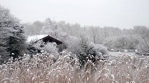 Wintertime van C.A. Maas