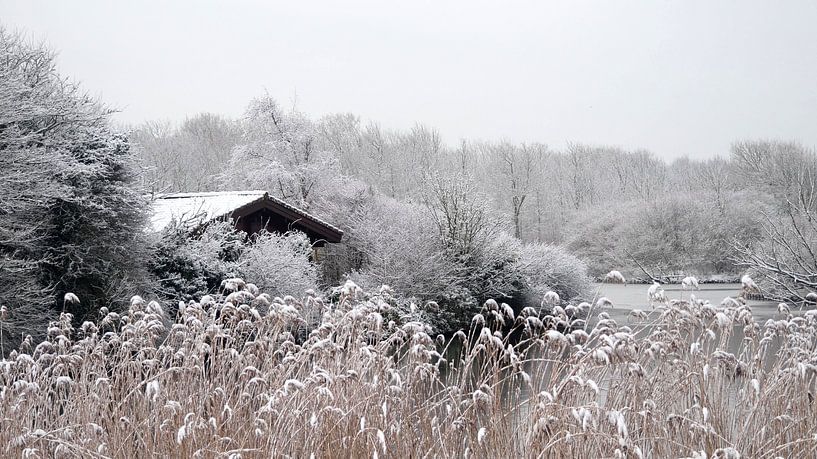 Wintertime by C.A. Maas