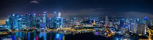 Singapore CityScape van Thomas Froemmel