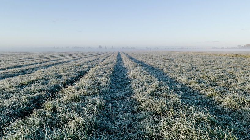 Flat lands, far horizons by Timo Bergenhenegouwen