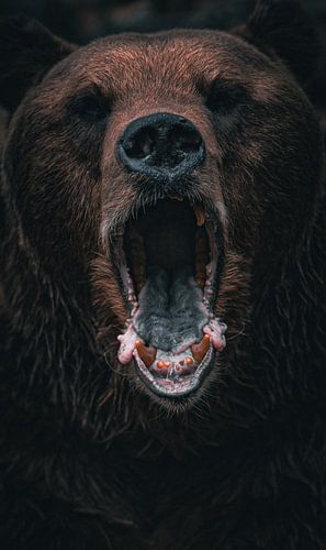 The power of wilderness