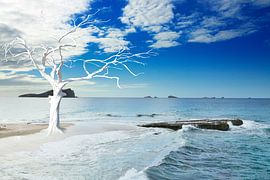 Cala Comte von Kult-Fotos