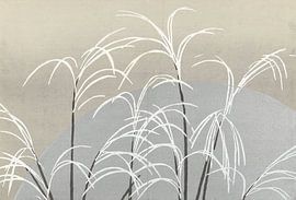 Moon and grasses by Kamisaka Sekka, 1909