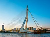 Rotterdamse Brug en Skyline van Mustafa Kurnaz thumbnail
