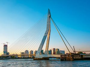 Le pont et la ligne d'horizon de Rotterdam sur Mustafa Kurnaz