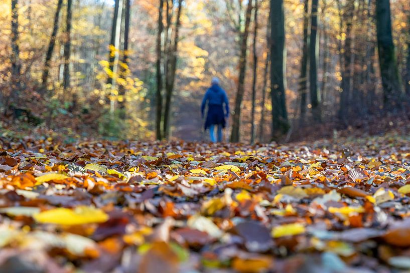 Herbstwanderung von Uwe Ulrich Grün