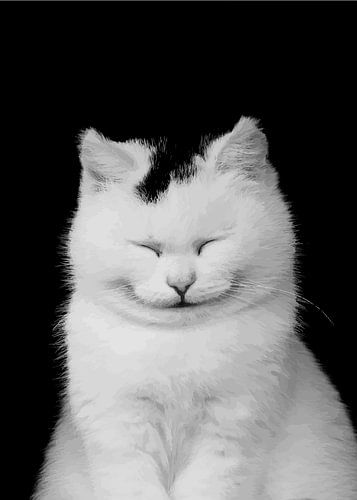 Snorharen en verwondering: Een kattenportret