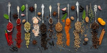Colourful selection of exotic spices on a slate plate III