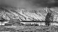 Mormon Row in Schwarz-Weiß, Wyoming von Henk Meijer Photography Miniaturansicht
