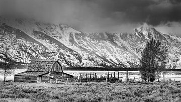 Mormon Row in Schwarz-Weiß, Wyoming