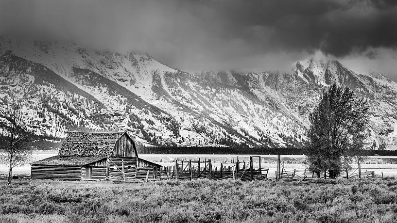 Mormon Row in Schwarz-Weiß, Wyoming von Henk Meijer Photography