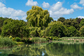 Vue sur le parc du château de Bendeleben sur Andreas Völkel