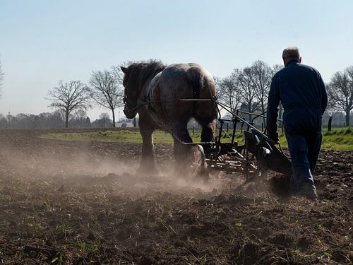 avec cheval et charrue