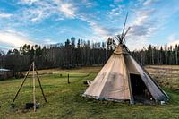 Tipi(s)