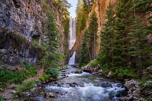 Beautiful Colorado Wilderness Waterfall Photo - Telluride Nature Wall Art Prints, Home and Office Wall Decor, Landscape Photography