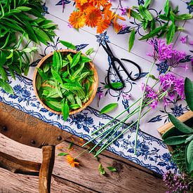 Table avec des herbes et des fleurs cueillies sur Annette Spaan