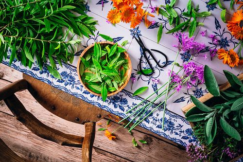 Tisch mit gepflückten Kräutern und Blumen