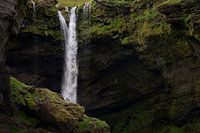Greyhound at waterfall in Iceland