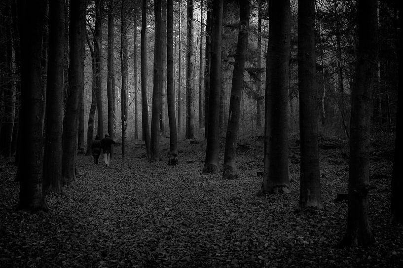 Wandelend duo von Jan Diepeveen