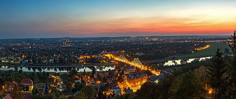 Blue Wonder - Dresden Loschwitz by night van Frank Herrmann