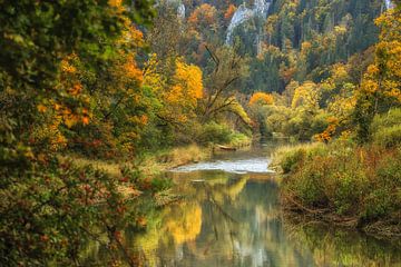 Autumn colours on the Danube near Fridingen - Upper Danube Nature Park by BlattArt - Christine Horn