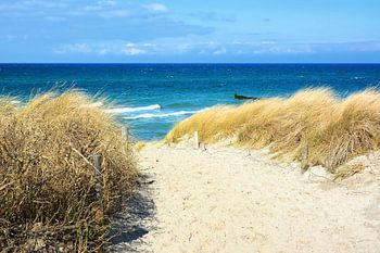 Chemin à travers les dunes vers la mer