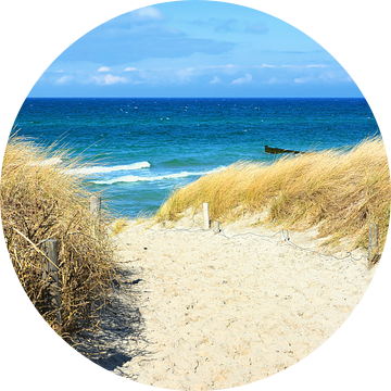 Pad over de duinen naar de zee