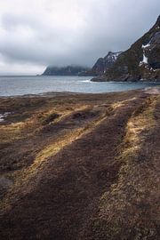 Die Landschaft der Lofoten zeigt unter bewölktem Himmel die Verbindung zwischen Land und Meer, N von PhotoCluster