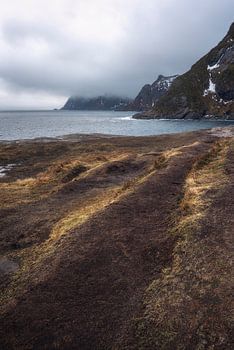 Lofoten’s Landscape Shows Land-Sea Bonds Under Cloudy Skies, N