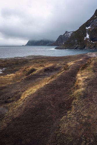 Het landschap van de Lofoten toont de verbondenheid tussen land en zee onder een bewolkte hemel, N