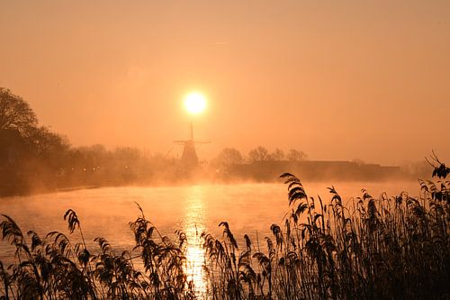Moulin de Zwaluw - Hasselt