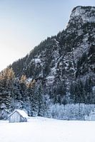Cabin in the snow - Ammergauer Alps