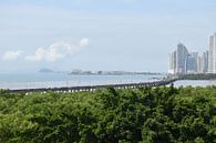 View of the city from the park by Claude Laprise thumbnail