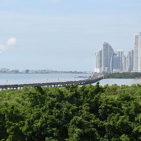 View of the city from the park by Claude Laprise