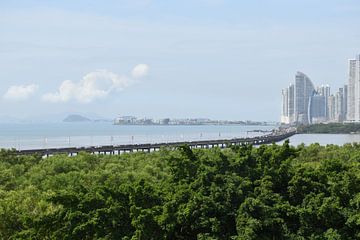 View of the city from the park