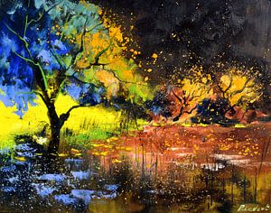 Still waters in the wood