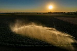 Irrigation des terres arables et coucher de soleil Hoeksche Waard