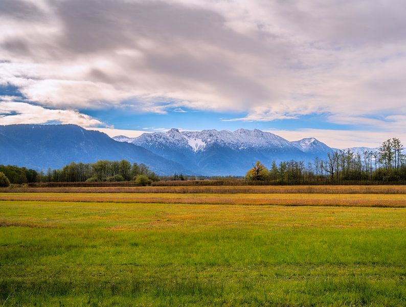 The Murnauer Moos and the Alps by ManfredFotos