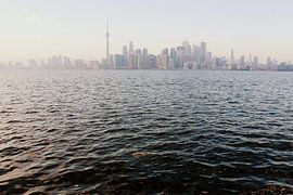 City & Nature von Naomi Kroon