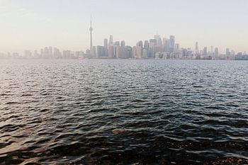 City & Nature