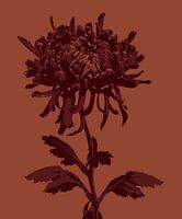 Fleur rétro rouge | Orange | Dessin | Plante