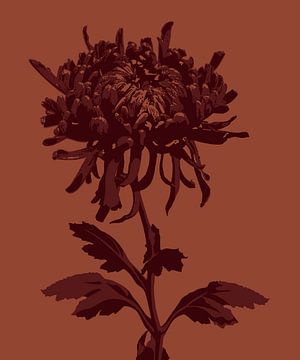 Rote Retroblume | Orange | Zeichnung | Pflanze von Jansje Kamphuis