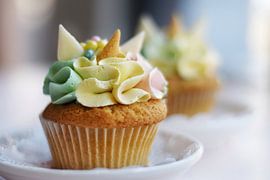 Einhorn Törtchen von MdeJong Fotografie