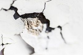 Raue Wand von Tessa Wassenberg