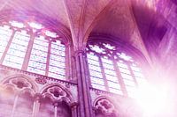 Paarse Kerk