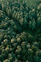 Luchtfoto van mooi groen bos in Limburg, Nederland